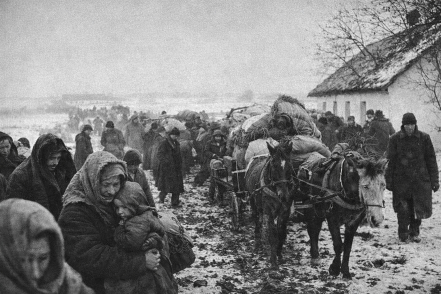 Иллюстрация к статье «История казачьего рода Кравченко-Подгирных: летопись станицы Полтавской»
